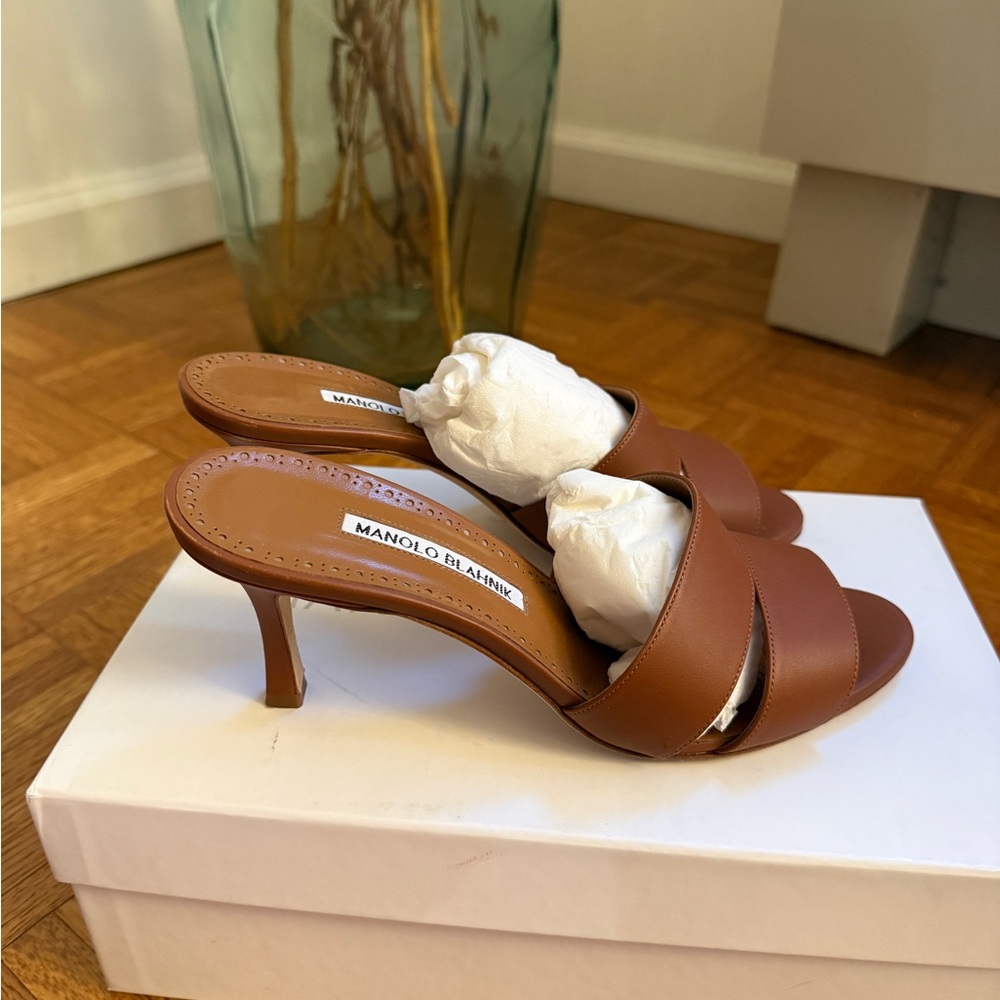 ⭐️SOLD ⭐️Manolo Blahnik Lacopo band sandals